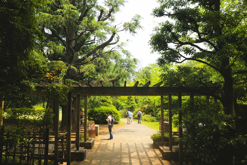 trường Waseda có rất nhiều góc đẹp trường Waseda có rất nhiều góc đẹp